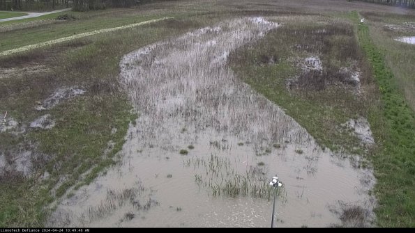 Cell 1_24-04-24_10-49-47-33