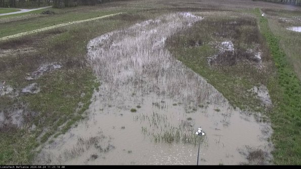 Cell 1_24-04-24_11-23-17-35