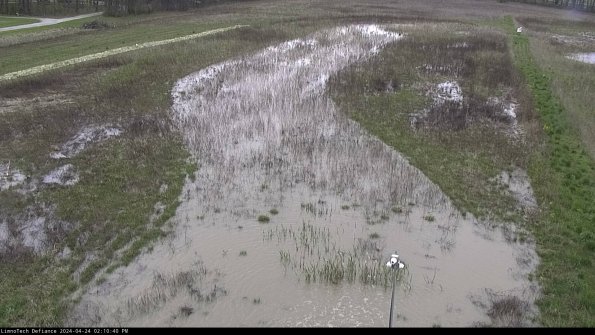 Cell 1_24-04-24_14-10-41-30