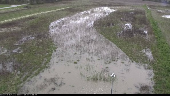 Cell 1_24-04-24_15-17-39-33