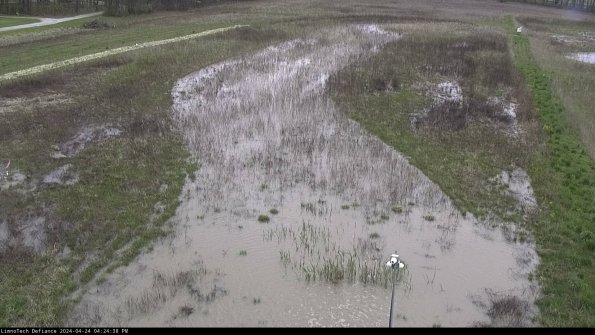 Cell 1_24-04-24_16-24-39-33