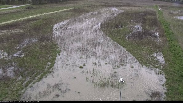 Cell 1_24-04-24_16-58-09-31