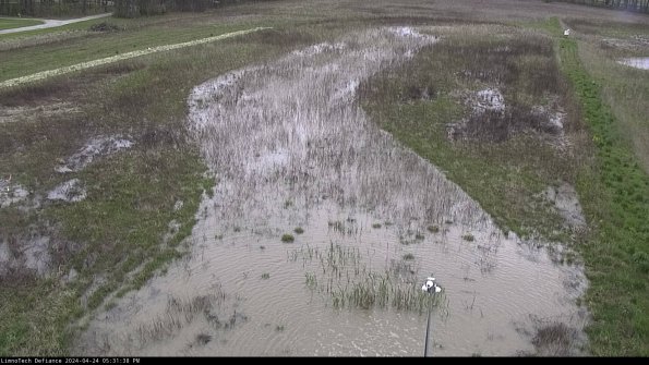 Cell 1_24-04-24_17-31-39-33