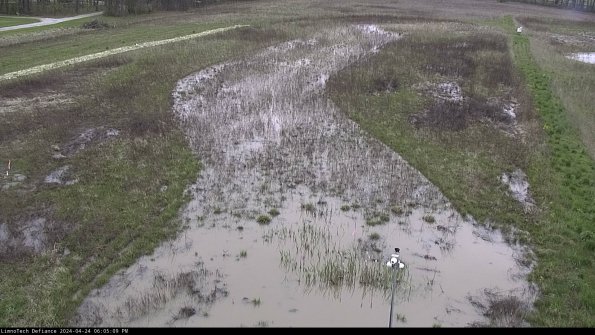 Cell 1_24-04-24_18-05-10-35