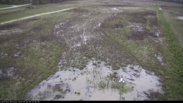 Cell 1_24-04-24_20-19-09-34