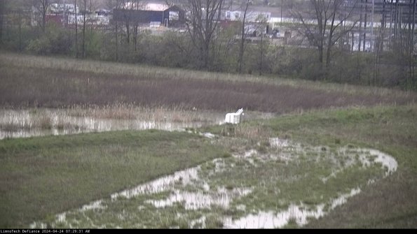 Cell 2 to 3_24-04-24_07-29-31-45