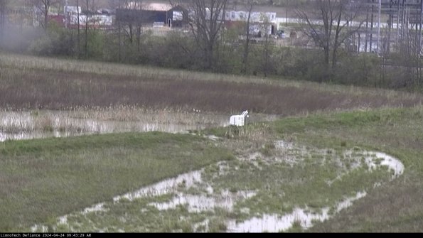 Cell 2 to 3_24-04-24_09-43-29-55