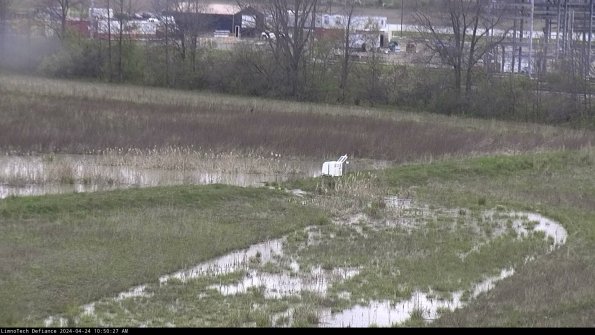 Cell 2 to 3_24-04-24_10-50-27-51