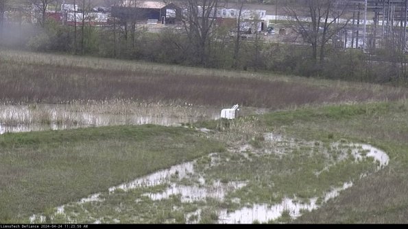 Cell 2 to 3_24-04-24_11-23-57-39