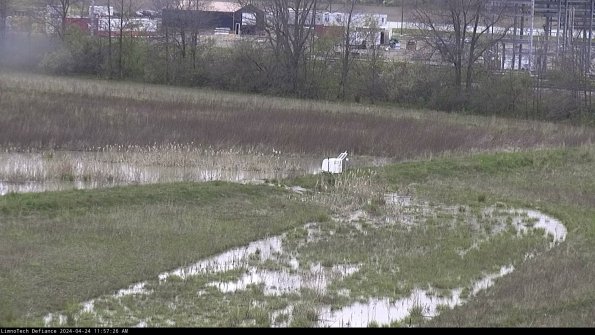 Cell 2 to 3_24-04-24_11-57-27-34