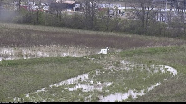 Cell 2 to 3_24-04-24_12-30-55-49