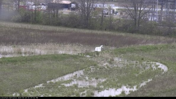 Cell 2 to 3_24-04-24_13-37-53-39