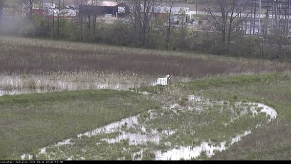 Cell 2 to 3_24-04-24_14-44-51-39