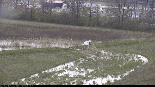 Cell 2 to 3_24-04-24_18-05-50-45