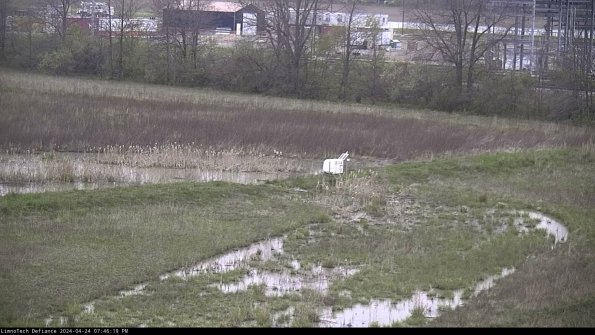 Cell 2 to 3_24-04-24_19-46-20-41