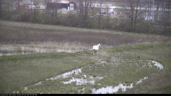 Cell 2 to 3_24-04-24_20-19-49-45