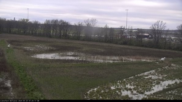 Cell 2_24-04-24_07-29-18-34