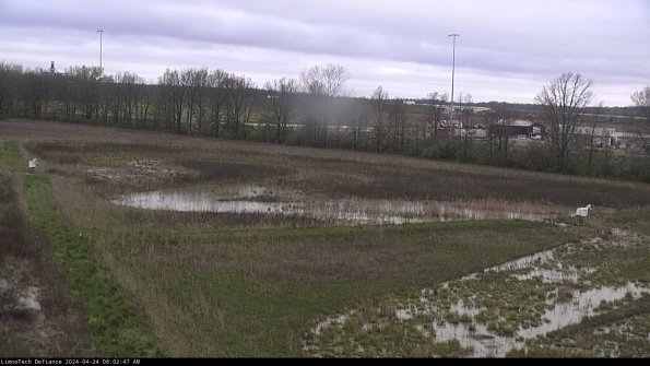 Cell 2_24-04-24_08-02-48-38