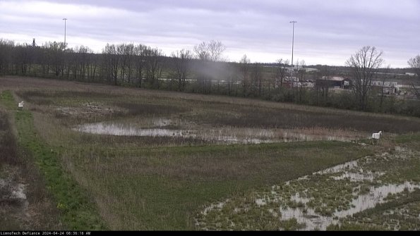 Cell 2_24-04-24_08-36-17-44