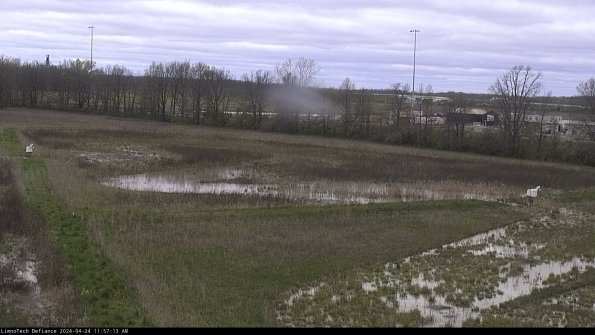 Cell 2_24-04-24_11-57-14-36