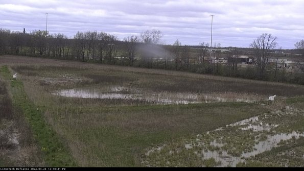 Cell 2_24-04-24_12-30-42-34