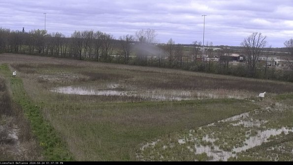 Cell 2_24-04-24_13-37-40-34