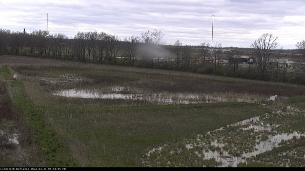 Cell 2_24-04-24_15-18-06-42