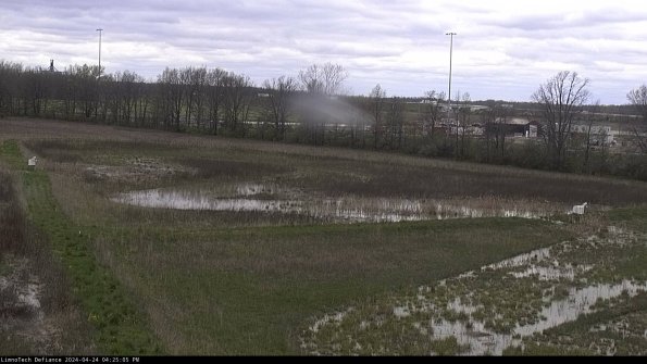 Cell 2_24-04-24_16-25-06-36