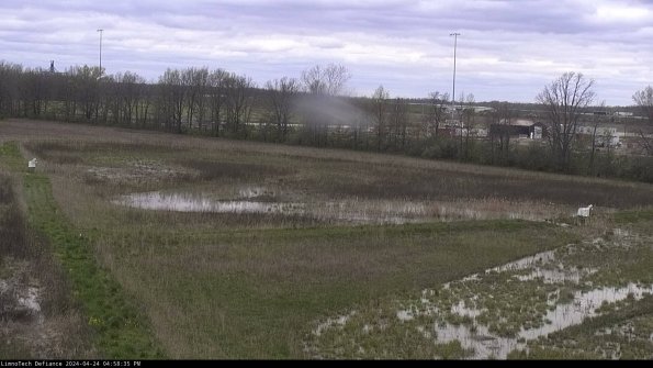 Cell 2_24-04-24_16-58-36-41