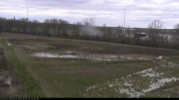 Cell 2_24-04-24_17-32-06-39