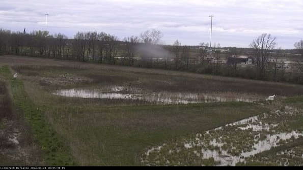 Cell 2_24-04-24_18-05-37-37