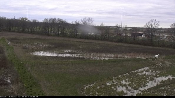 Cell 2_24-04-24_18-39-07-40