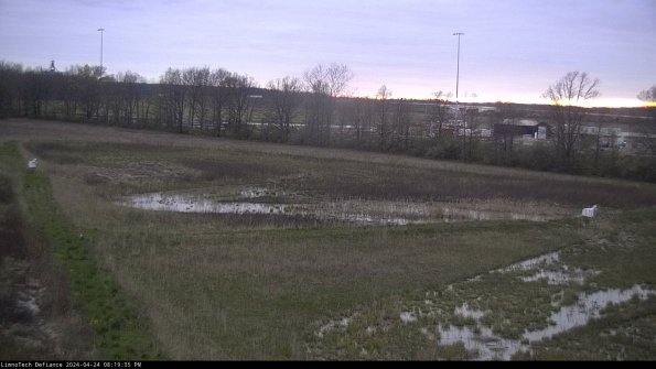 Cell 2_24-04-24_20-19-36-37