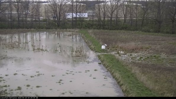 Cell 3 to 4_24-04-24_07-30-00-32