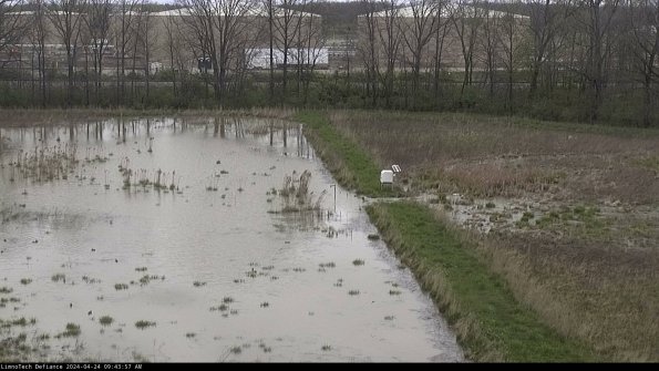 Cell 3 to 4_24-04-24_09-43-58-34