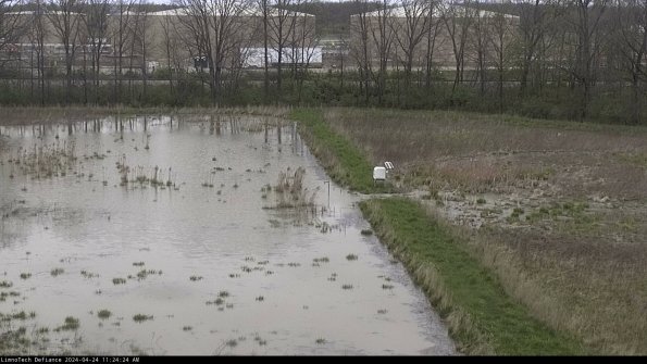 Cell 3 to 4_24-04-24_11-24-25-32