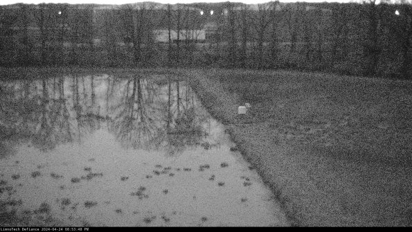 Cell 3 to 4_24-04-24_20-53-49-32