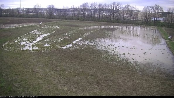 Cell 3_24-04-24_07-29-46-33