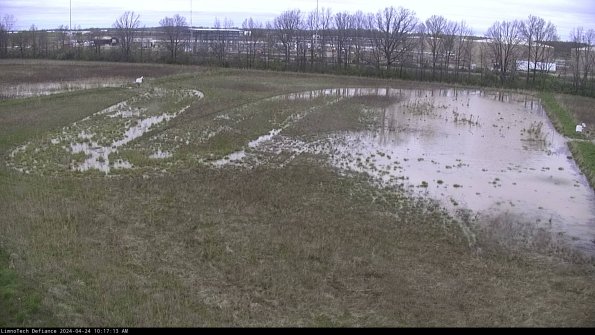 Cell 3_24-04-24_10-17-13-54