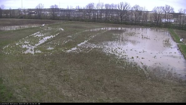 Cell 3_24-04-24_10-50-42-32