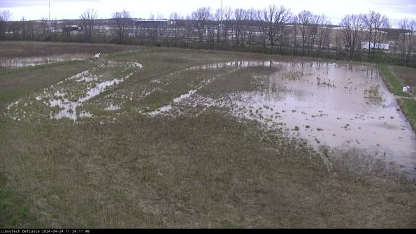 Cell 3_24-04-24_11-24-11-57