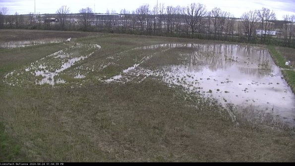 Cell 3_24-04-24_13-04-39-59