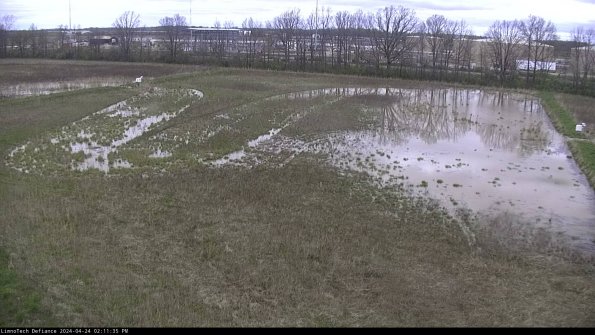 Cell 3_24-04-24_14-11-36-32