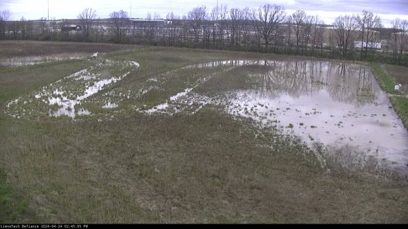 Cell 3_24-04-24_14-45-05-54