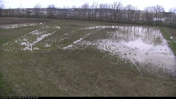 Cell 3_24-04-24_16-25-34-32