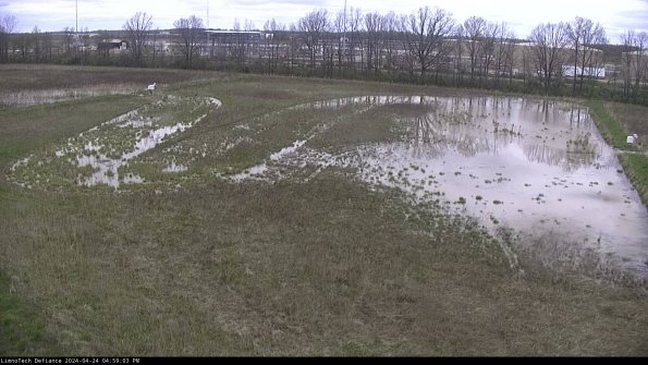 Cell 3_24-04-24_16-59-04-33