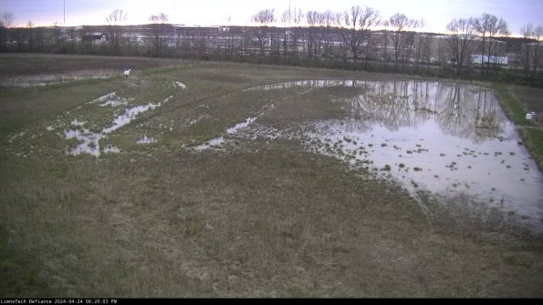 Cell 3_24-04-24_20-20-04-33