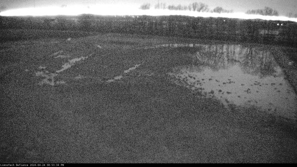 Cell 3_24-04-24_20-53-35-34