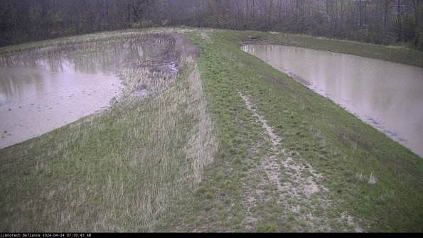 Cell 4 to Basin_24-04-24_07-30-44-33