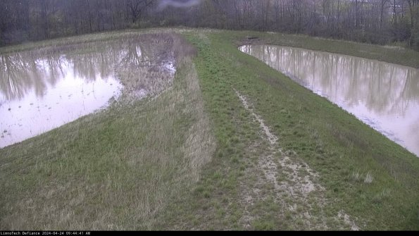 Cell 4 to Basin_24-04-24_09-44-42-35